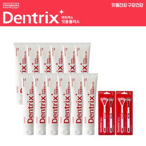 덴트릭스 잇몸플러스치약160g 12개 + 혀클리너플러스(2p) 2개