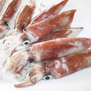 한치 제주 손질한치(소) 700g내외 8-9미 숙회용