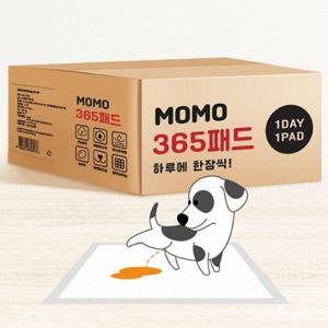 절약형 패드 365매 가성비좋은 냄새잡는 배변패드 (WFGZM50)