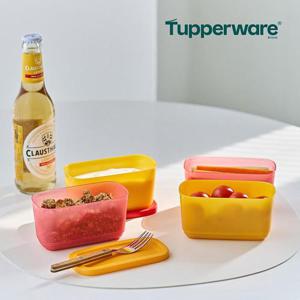 타파웨어 싱싱블록 미니 직사각 250ml 2개