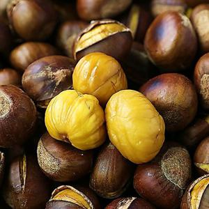 [맛꾼] 25년 통관 당도높은 칼집 약단밤 2kg (1kg*2망)