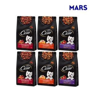 시저 1kg 2팩 건사료 모음