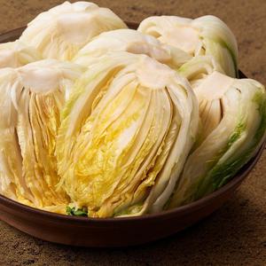 [지정일배송] 이푸른 땅끝 해남 절임배추 20kg (7~9포기)