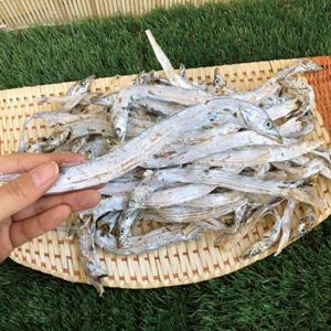 국산 건갈치 500g무료배송 마른갈치 건어물 칼치