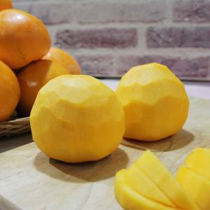 산청 지리산 고종시감(곶감용) 10kg(41-50과)