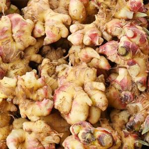 [맛군] 국내산 향긋한 흙생강 특품 2kg