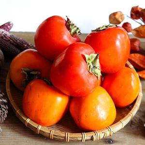 [맛군] 국내산 달콤한 대봉감 5kg 중대과