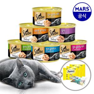 쉬바캔 85g 12개 골라담기+캣닢쿠션+템테이션12gx3팩