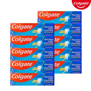 콜게이트 그레이트 레귤러 플레이버 치약 250g x10개