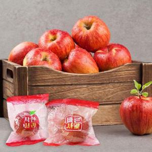 갤러리아_한루한알 가정용 부사 세척사과 실중량 5kg 꼬마소과