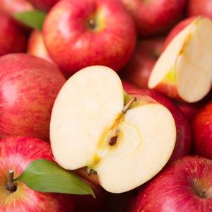 국내산 햇 부사사과 쥬스용 6kg