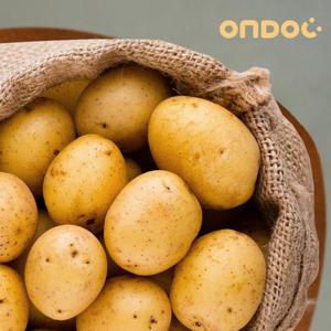 [온도씨]강원도 포슬한 두백 감자 5kg 왕왕