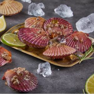 국산 고성 홍가리비4kg (1kg기준 20미 내외)