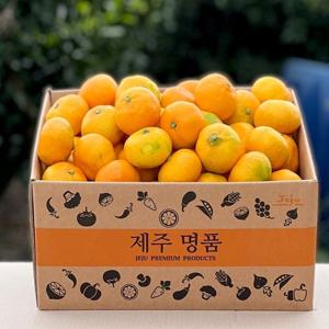 산지직송 제주 서귀포 극조생 타이벡 감귤  9kg 소과 성공