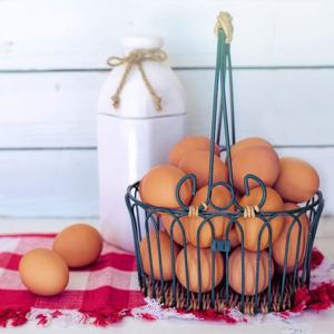 Fresh 자유방사 난각1번 유정란 60구 계란 달걀