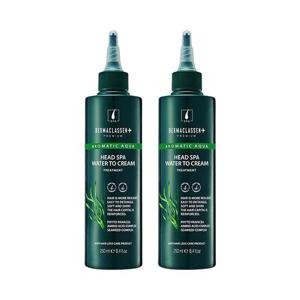더마클라센 헤드스파 워터 탈모케어 트리트먼트 250ml x2
