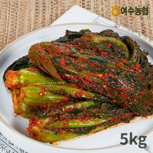 [여수농협] 여수돌산 갓김치 5kg
