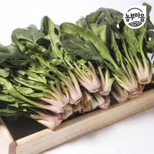 갤러리아_[농부마음]산지직송 남해 보물초 시금치 1kg