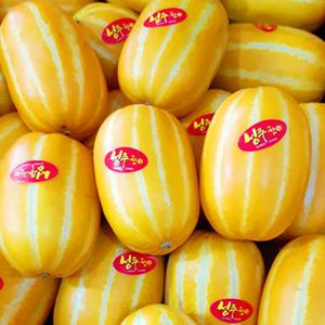 [참다올] 성주참외 1kg (3-6개)