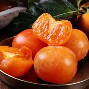 [맛군] GAP인증 씨없는 청도반시 5kg 대과(21-29과내외)