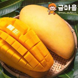 귤마을 달콤한 태국 골드망고 3kg 6-12과