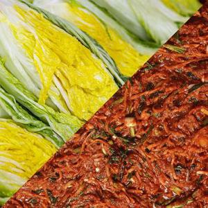 [하늘명인]해남 땅끝 아삭 절임배추10kg+양념4kg /HACCP인증