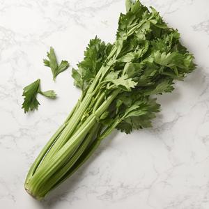 [새벽배송][우리가락]샐러드용샐러리 한단