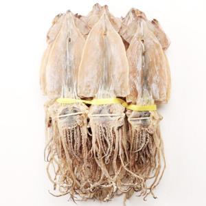 동해안 당일바리 마른오징어 10미(400g내외)건오징어/안주