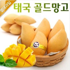 [햇살아름]태국 골드 망고 2kg(7과이내)
