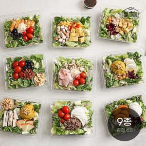 [다신샵] 당일제조&토핑가득 프리미엄 한스푼 샐러드 9팩 세트 / 드레싱 증정