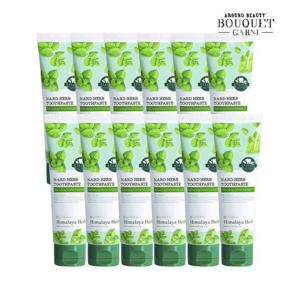 히말라야 허브 나드 구취 케어 치약 100g x12개