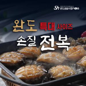 [특대]금일수협 손질 전복 18미