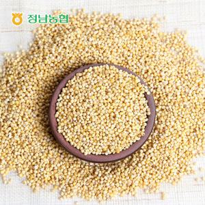 [건강잡곡] 화성 정남농협 찰기장 500g /25년산 국내산 100%