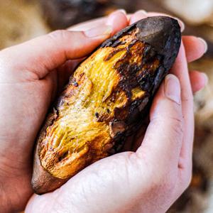 [푸드맛봄 고구마] 25년 해남 햇 꿀고구마 중사이즈 5kg 베니하루카 고구마