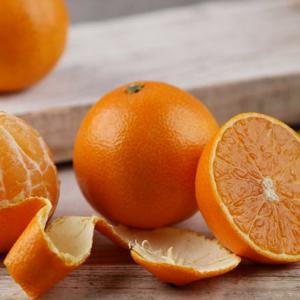 [황금원]달콤한 가정용 황금향 4.5kg