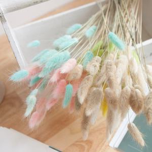 [3+1] 라그라스 조화 번들 46cm (17개입) 3컬러 인테리어 장식 소품 갈대 촬영 꾸미기