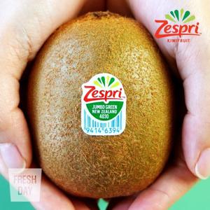 새콤달콤 제스프리 그린키위 점보왕특대 15입