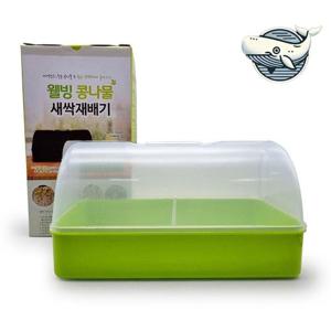 육채 채소재배기 콩나물 재배용기 수경재배 (WFHKRXY)