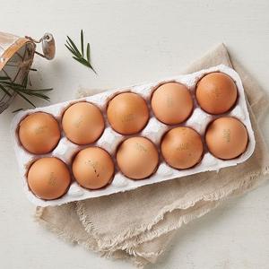 [새벽배송][우리가락]친환경 유정란 10입