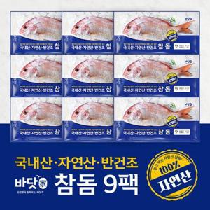[신세계]국내산 자연산 반건조 참돔 300g X 9마리