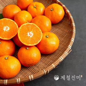 제철진미 제주 서귀포 하례마을 타이벡감귤 중대과 3kg (L-2L)