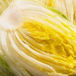 [예약판매] 해썹인증 전남 해남 절임배추 20kg 7-10포기 절인 김장 김치 WD