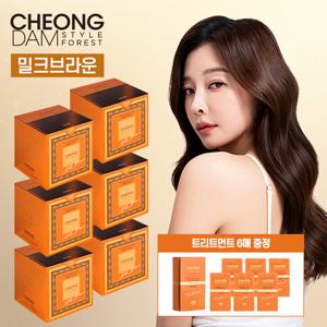 [최신상/초특가] 청담스타일 포레스트 더 살롱 컬러 헤리티지 6박스