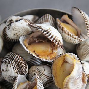 [품질보장100%] 맛꾼이 선별한 싱싱한 새꼬막 中 3kg (kg당, 95~99미내외)