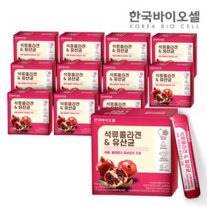 [한국바이오셀] 석류콜라겐 유산균 12세트(2g x 360포) 12개월분