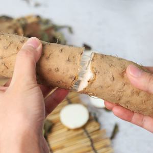 [산지직송] 안동 담백한 장마(상) 1kg