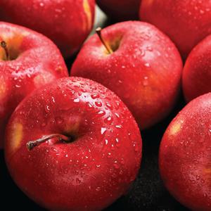 [중대과] 달콤아삭 경북 햇 부사 사과 5kg (19-22과) 가정용