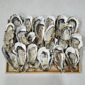 국내산 손질 하프쉘 하프셀 반각굴 1단 25-30미 내외