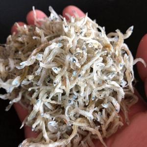 상급 지리멸치 500g 무료배송 세멸치 볶음멸치 잔멸치