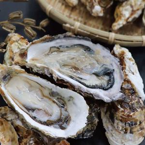 [춘백이네어부장터] 당일작업 통영 석화 5kg